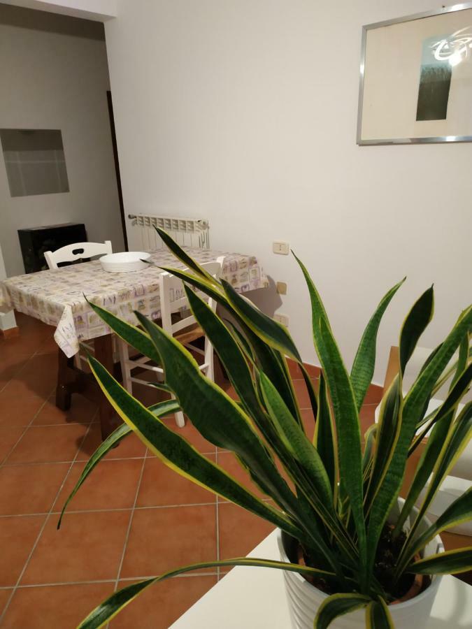 Gemini Appartamenti Grosseto Exterior foto