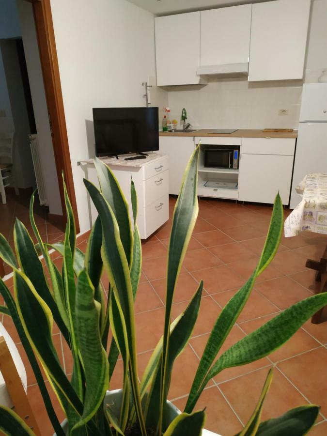 Gemini Appartamenti Grosseto Exterior foto
